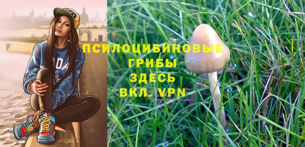 гашик Новый Уренгой