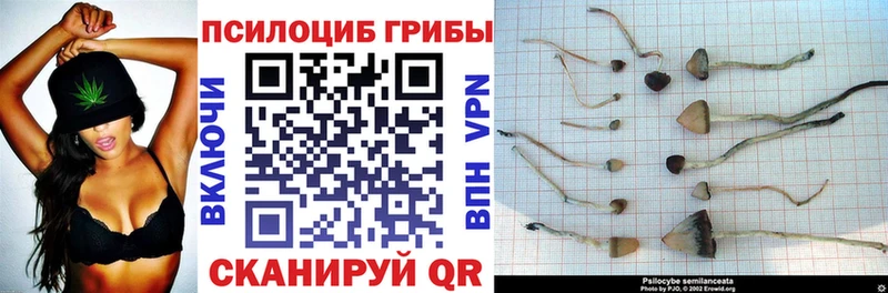 даркнет сайт Бийск Псилоцибиновые грибы MAGIC MUSHROOMS