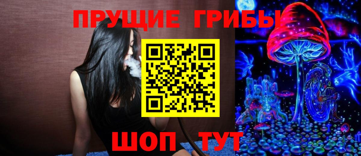 Псилоцибиновые грибы Psilocybe Бийск