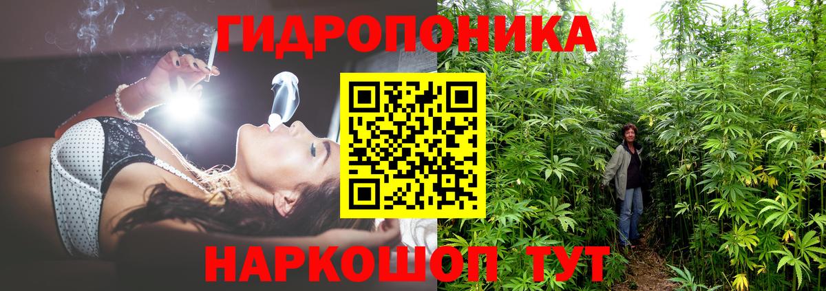 Бийск  Каннабис тримм  Шишки марихуана Bruce Banner  Канабис гибрид  Вход с VPN 